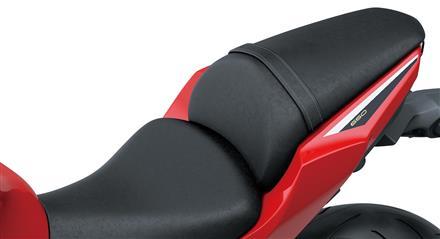 Special Seat